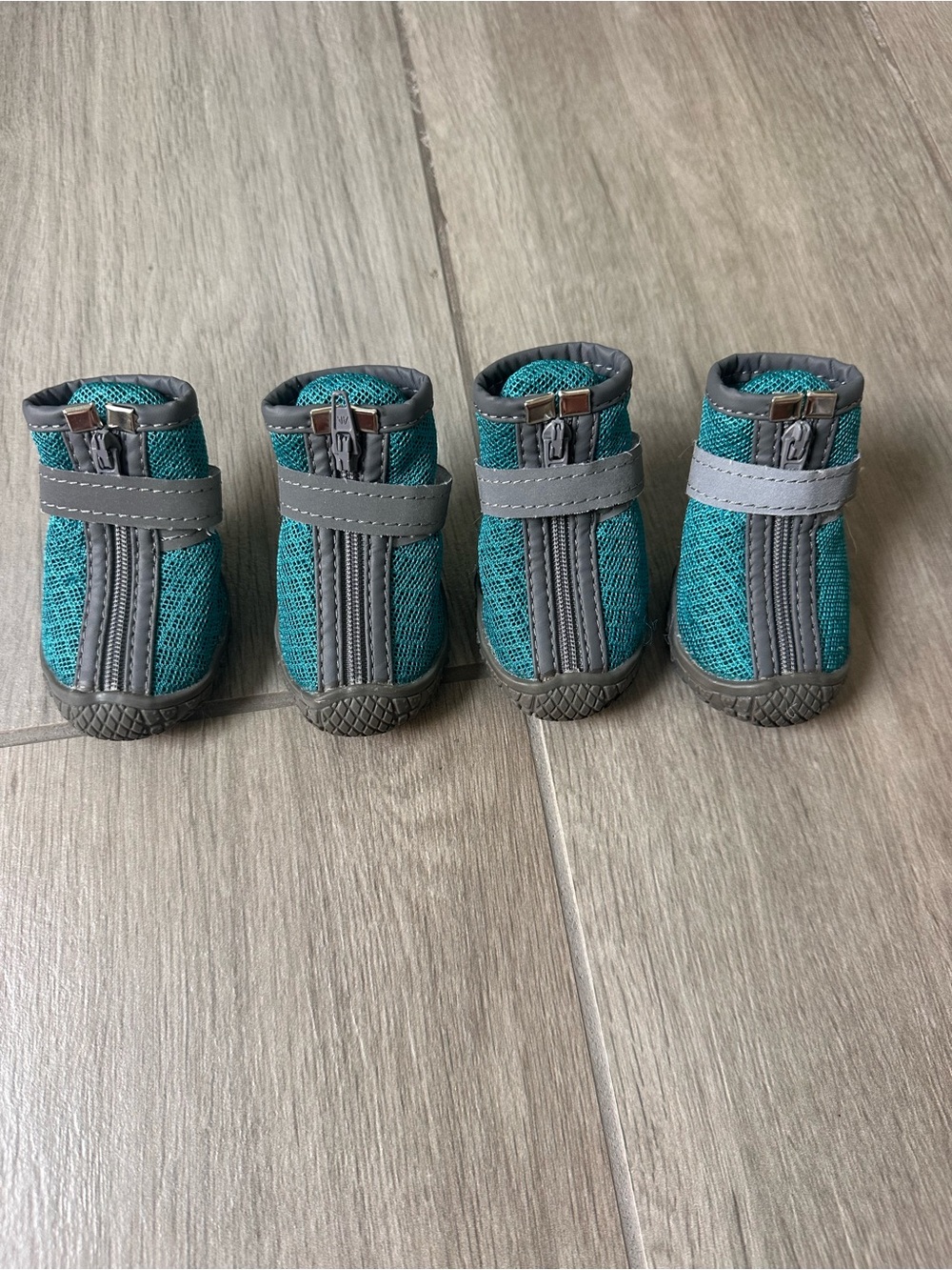 Pet Boots